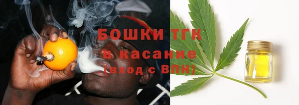 стафф Кодинск