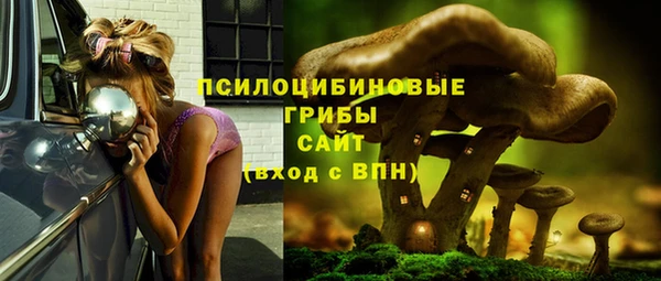 соль курить ск Киреевск