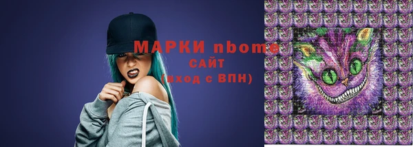 стафф Кодинск