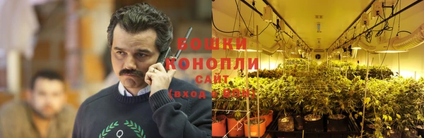 mdpv Козловка