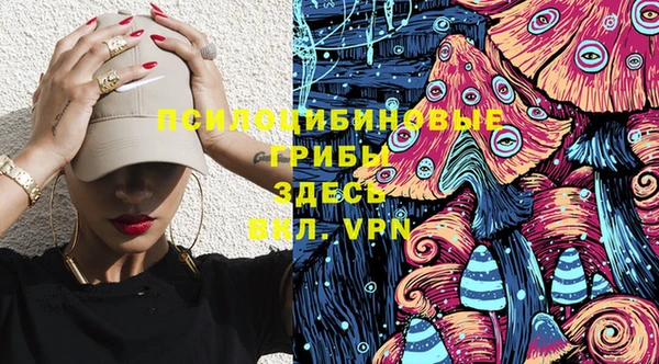 mdpv Козловка