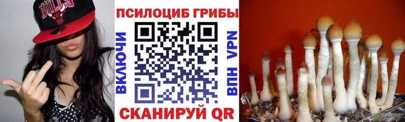 Галлюциногенные грибы Magic Shrooms  Кораблино 